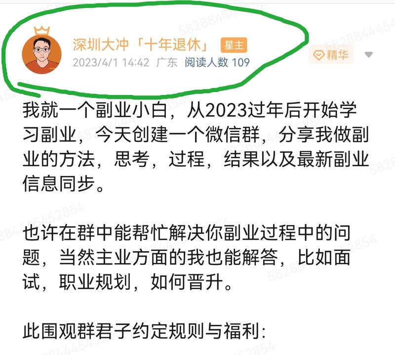 我与「IDO老徐飞巴401」的偶然与必然 「偶然」:今年4.1开启副业群的思考,星球帖子4.1发布:-大冲十年退休
